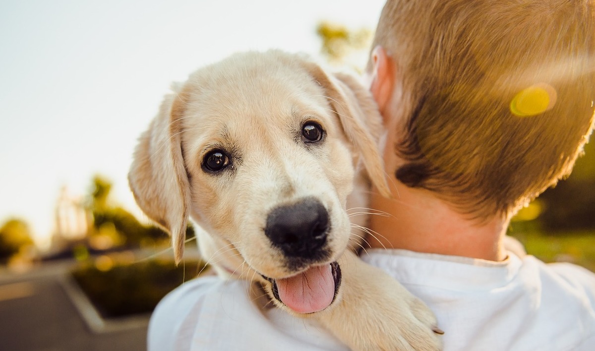 Cremación Presencial